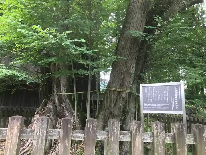 小室浅間神社(山梨県)