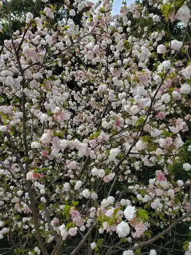 稲荷神社の自然