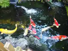 吉原弁財天本宮（吉原神社奥宮）の庭園