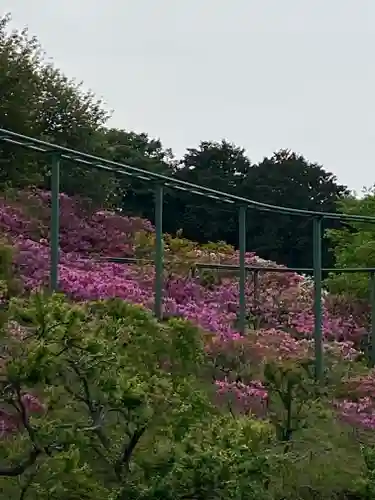 笠間稲荷神社の庭園