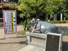 芳賀天満宮の狛犬