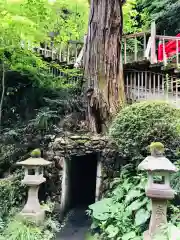 大正寺(中野不動尊)の自然