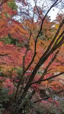 長岡天満宮(京都府)