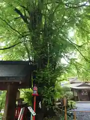 貴船神社(京都府)