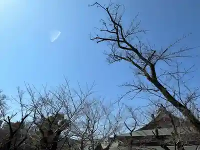 靖國神社(東京都)
