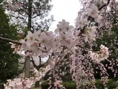 栽松院の{uncategorized: "未分類", other: "その他", undefined: "問題あり", building: "その他建物", grave: "お墓", sacred_gate: "鳥居", guardian: "狛犬", statue: "像", buddha: "仏像", history: "歴史", nature: "自然", garden: "庭園", animal: "動物", pagoda: "塔", temizu: "手水舎", mountain_gate: "山門・神門", sanctuary: "本殿・本堂", subordinate: "末社・摂社", art: "芸術", scenery: "景色", jizo: "地蔵", ema: "絵馬", goshuin: "御朱印", omikuji: "おみくじ", items: "授与品その他", amulet: "お守り", goshuincho: "御朱印帳", eats: "食事", festival: "お祭り", votive_dance: "神楽", shichigosan: "七五三参", wedding: "結婚式", experience: "体験その他", initially: "初詣", around: "周辺", anti_infection: "感染症対策"}