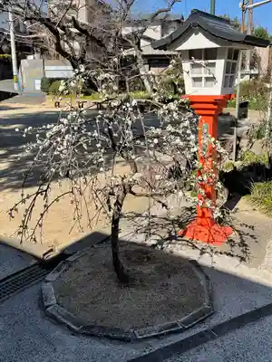 貴布袮神社の自然