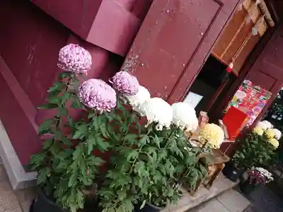 笠間稲荷神社 東京別社(東京都)