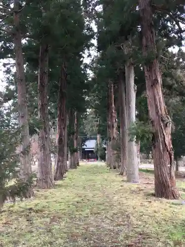 高杜神社の自然