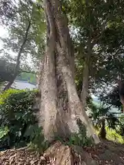 田中神社(福井県)