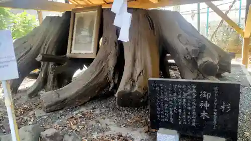 馬場氷川神社(埼玉県)