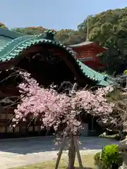 福祥寺（須磨寺）の自然