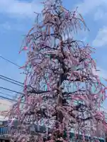 慶運寺(神奈川県)