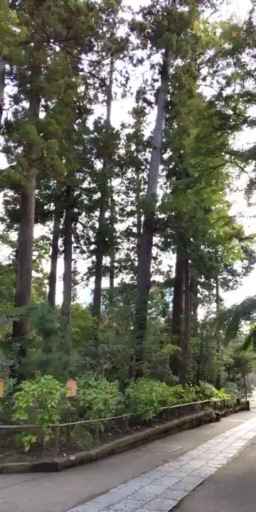 円覚寺(神奈川県)