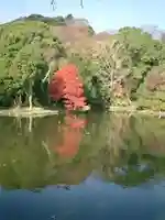 鶴岡八幡宮の庭園