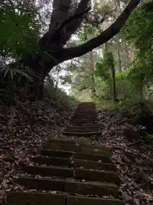 青龍大権現(千葉県)