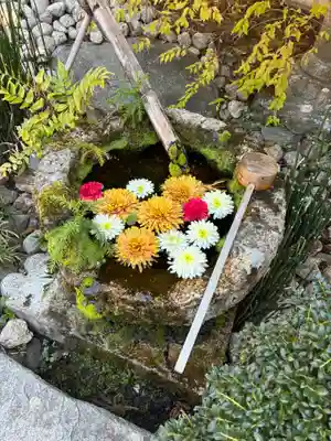 柳谷観音　楊谷寺(京都府)