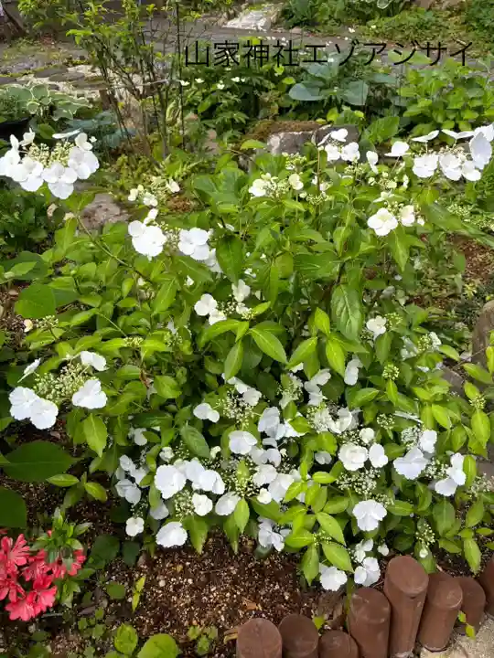 真田神社の自然