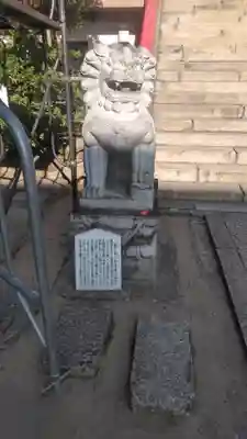 赤間神宮の狛犬