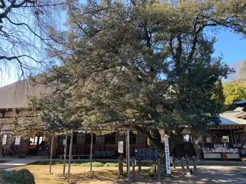 茂林寺の{uncategorized: "未分類", other: "その他", undefined: "問題あり", building: "その他建物", grave: "お墓", sacred_gate: "鳥居", guardian: "狛犬", statue: "像", buddha: "仏像", history: "歴史", nature: "自然", garden: "庭園", animal: "動物", pagoda: "塔", temizu: "手水舎", mountain_gate: "山門・神門", sanctuary: "本殿・本堂", subordinate: "末社・摂社", art: "芸術", scenery: "景色", jizo: "地蔵", ema: "絵馬", goshuin: "御朱印", omikuji: "おみくじ", items: "授与品その他", amulet: "お守り", goshuincho: "御朱印帳", eats: "食事", festival: "お祭り", votive_dance: "神楽", shichigosan: "七五三参", wedding: "結婚式", experience: "体験その他", initially: "初詣", around: "周辺", anti_infection: "感染症対策"}