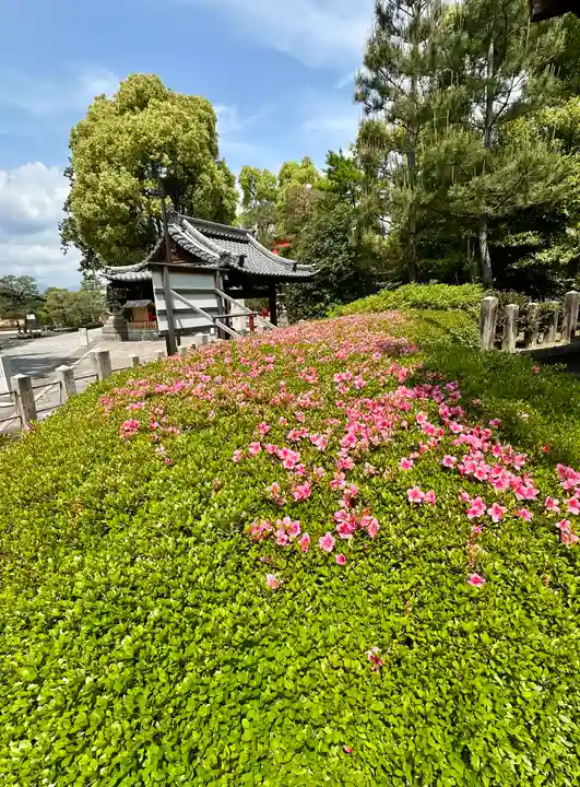 城南宮(京都府)