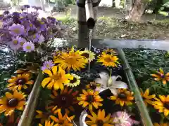 坂本八幡神社の手水