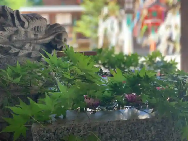 滑川神社 - 仕事と子どもの守り神の手水舎