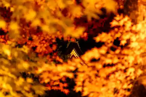 北野天満宮(京都府)