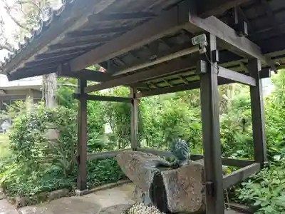 龍泉寺の手水舎