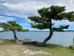 唐崎神社(滋賀県)