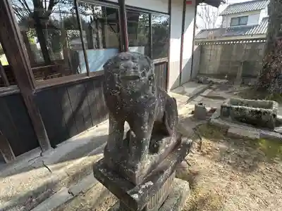 天満神社本殿の狛犬