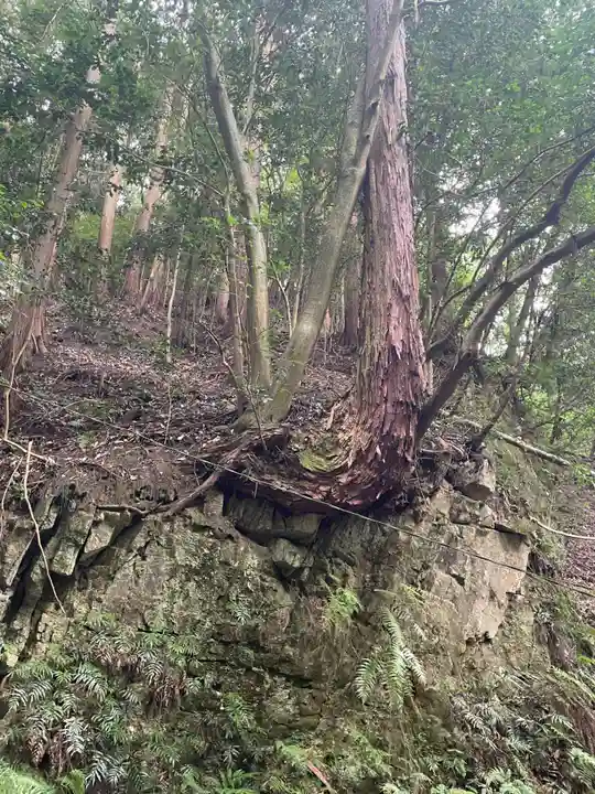 狸谷山不動院(京都府)