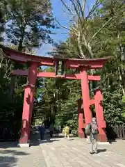 彌彦神社(新潟県)