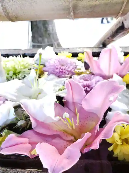 鳩森八幡神社の手水舎