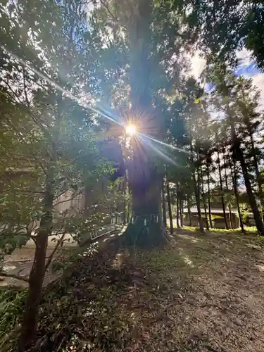 知波夜比古神社(広島県)