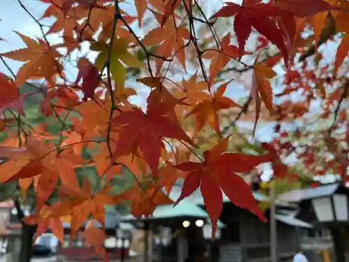 彌榮神社の自然