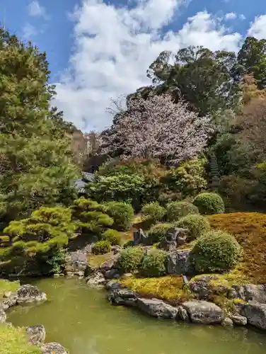 青蓮院門跡(京都府)
