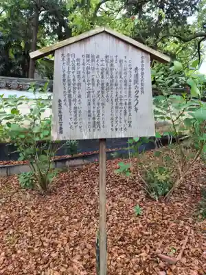 青蓮院門跡(京都府)