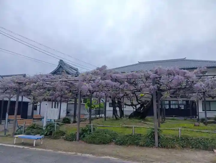竹鼻別院(岐阜県)