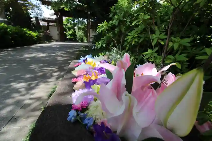 安養院の御朱印