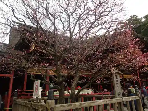 太宰府天満宮の自然