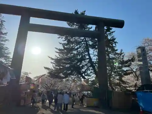 青森縣護國神社の鳥居