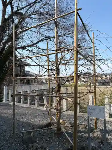 玉田神社の{uncategorized: "未分類", other: "その他", undefined: "問題あり", building: "その他建物", grave: "お墓", sacred_gate: "鳥居", guardian: "狛犬", statue: "像", buddha: "仏像", history: "歴史", nature: "自然", garden: "庭園", animal: "動物", pagoda: "塔", temizu: "手水舎", mountain_gate: "山門・神門", sanctuary: "本殿・本堂", subordinate: "末社・摂社", art: "芸術", scenery: "景色", jizo: "地蔵", ema: "絵馬", goshuin: "御朱印", omikuji: "おみくじ", items: "授与品その他", amulet: "お守り", goshuincho: "御朱印帳", eats: "食事", festival: "お祭り", votive_dance: "神楽", shichigosan: "七五三参", wedding: "結婚式", experience: "体験その他", initially: "初詣", around: "周辺", anti_infection: "感染症対策"}