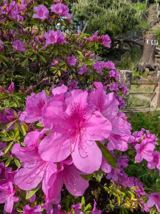 鳩森八幡神社(東京都)