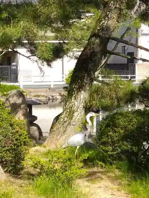 備中国總社(岡山県)