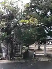 阿太加夜神社の建物その他