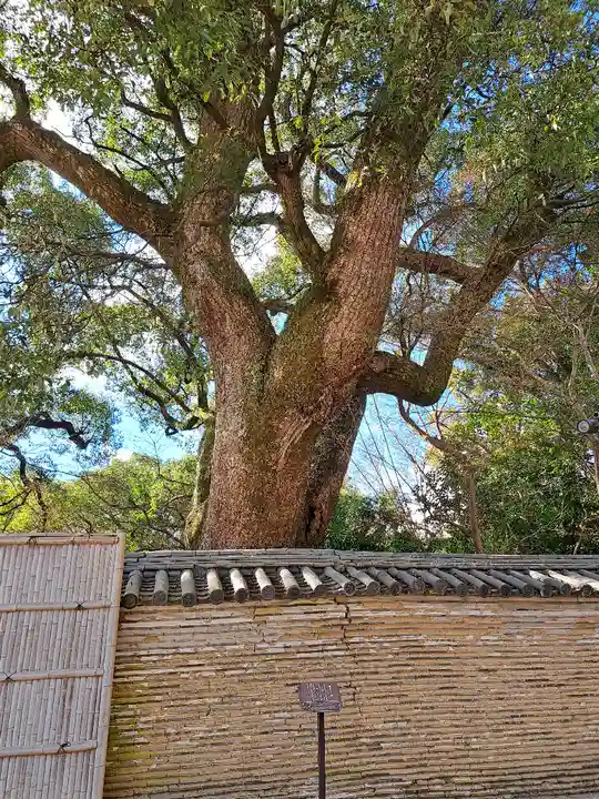 石清水八幡宮(京都府)