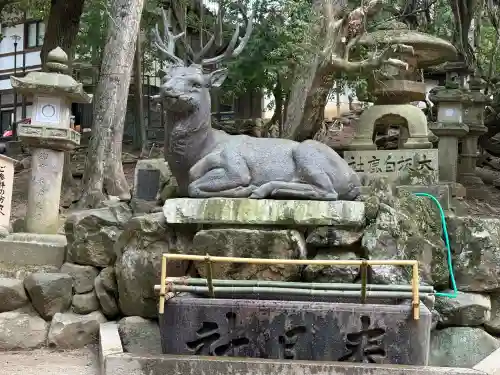 春日大社(奈良県)