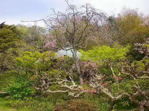 浄光明寺の自然