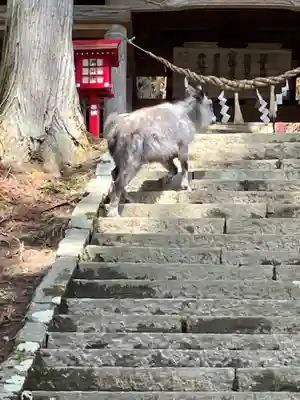 曽慶熊野神社(岩手県)